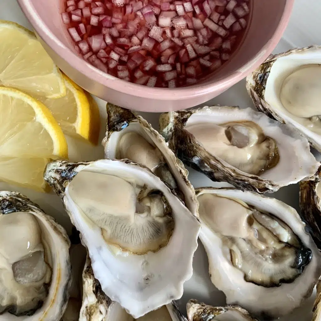 Oysters with Red Wine Vinaigrette Recipe